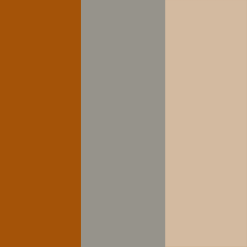 Beige - caramel - gris