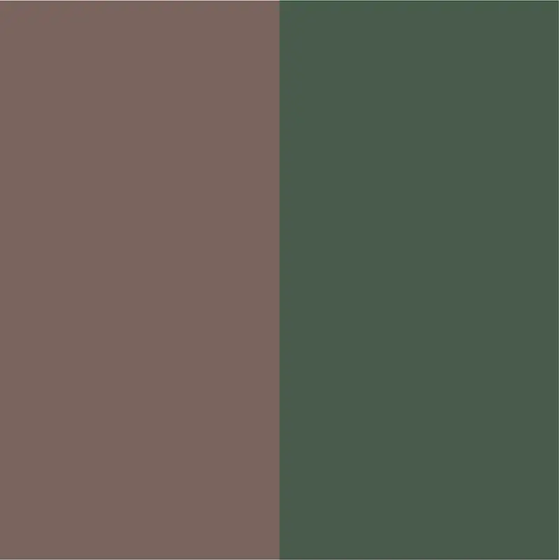Taupe-Vert Lichen
