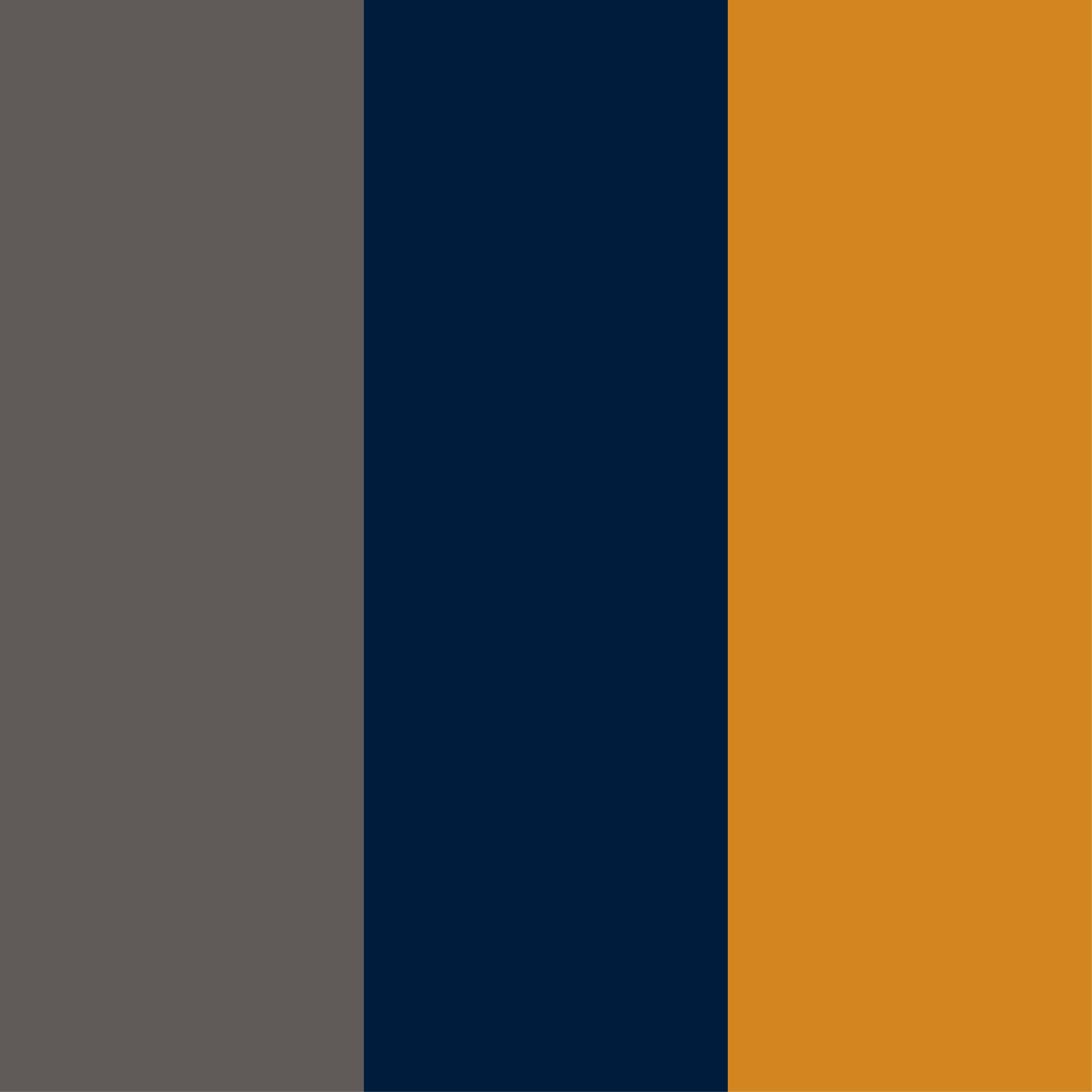 Ocre-Taupe-Marine