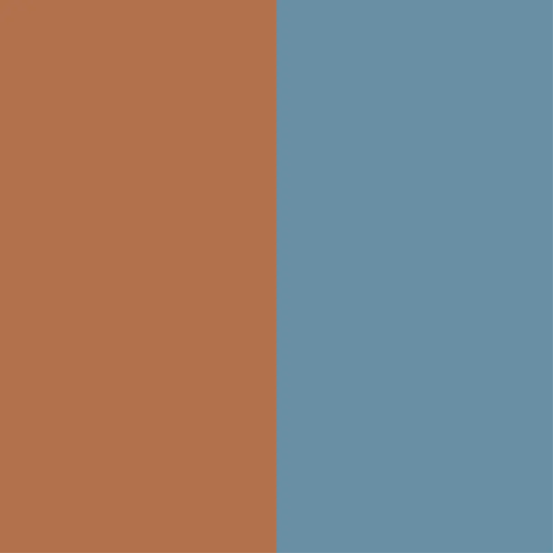 Marron - bleu