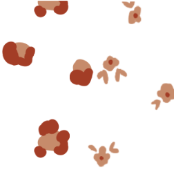 Fleurs des champs - léopard