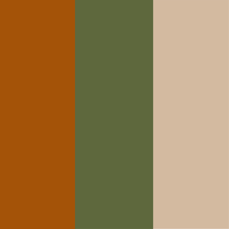 Caramel - vert algue - beige