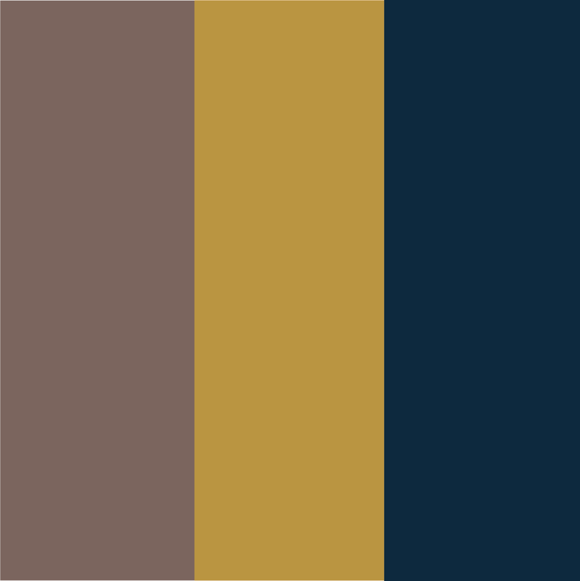 Marine-Taupe-Moutarde