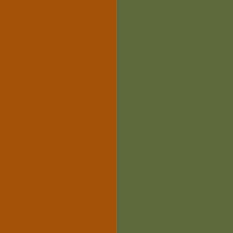 Caramel - vert algue