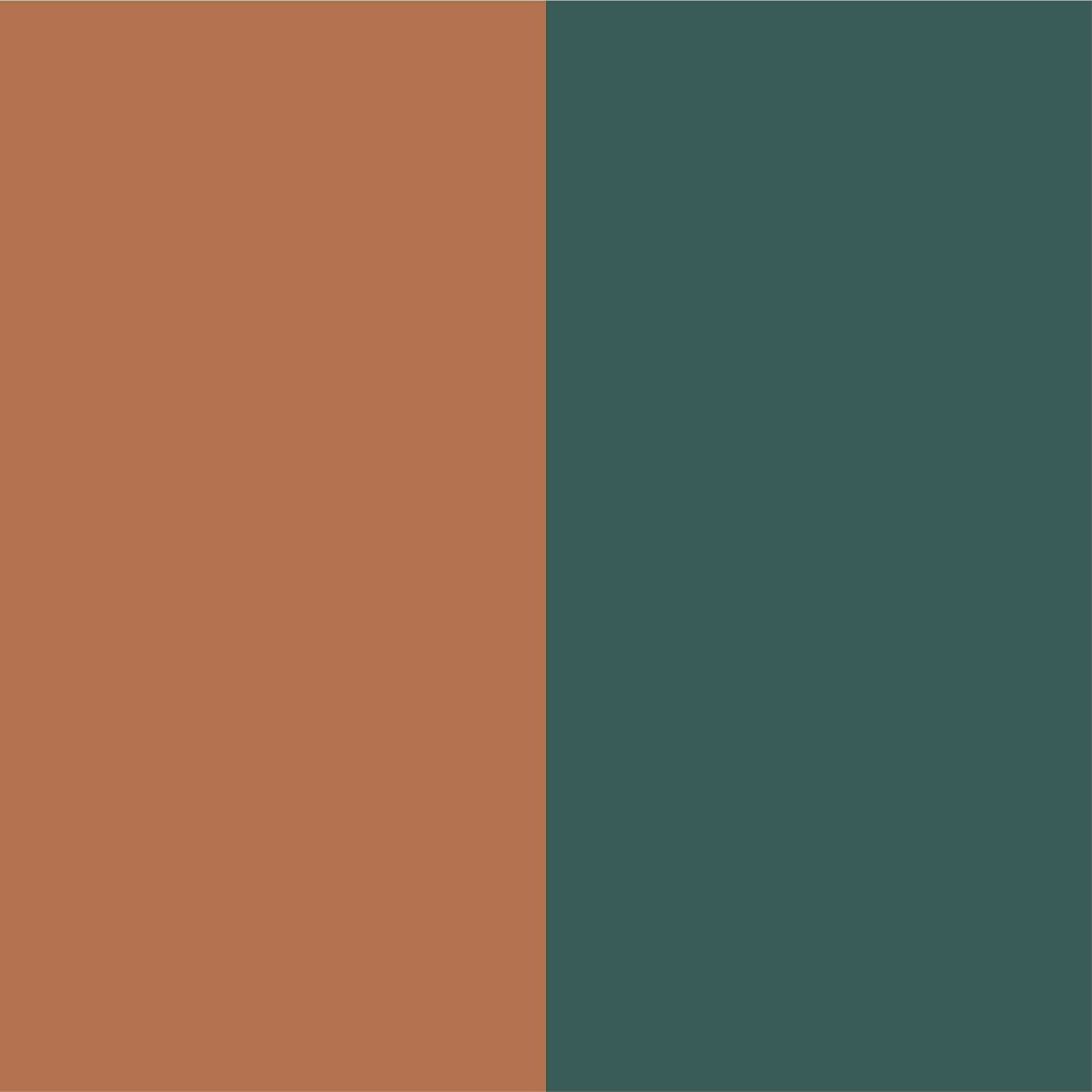 Marron - vert opale