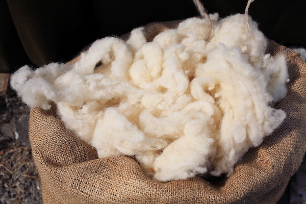 laine dans un sac en toile