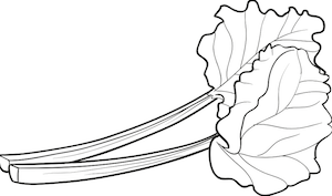 icone de tannage à la rhubarbe